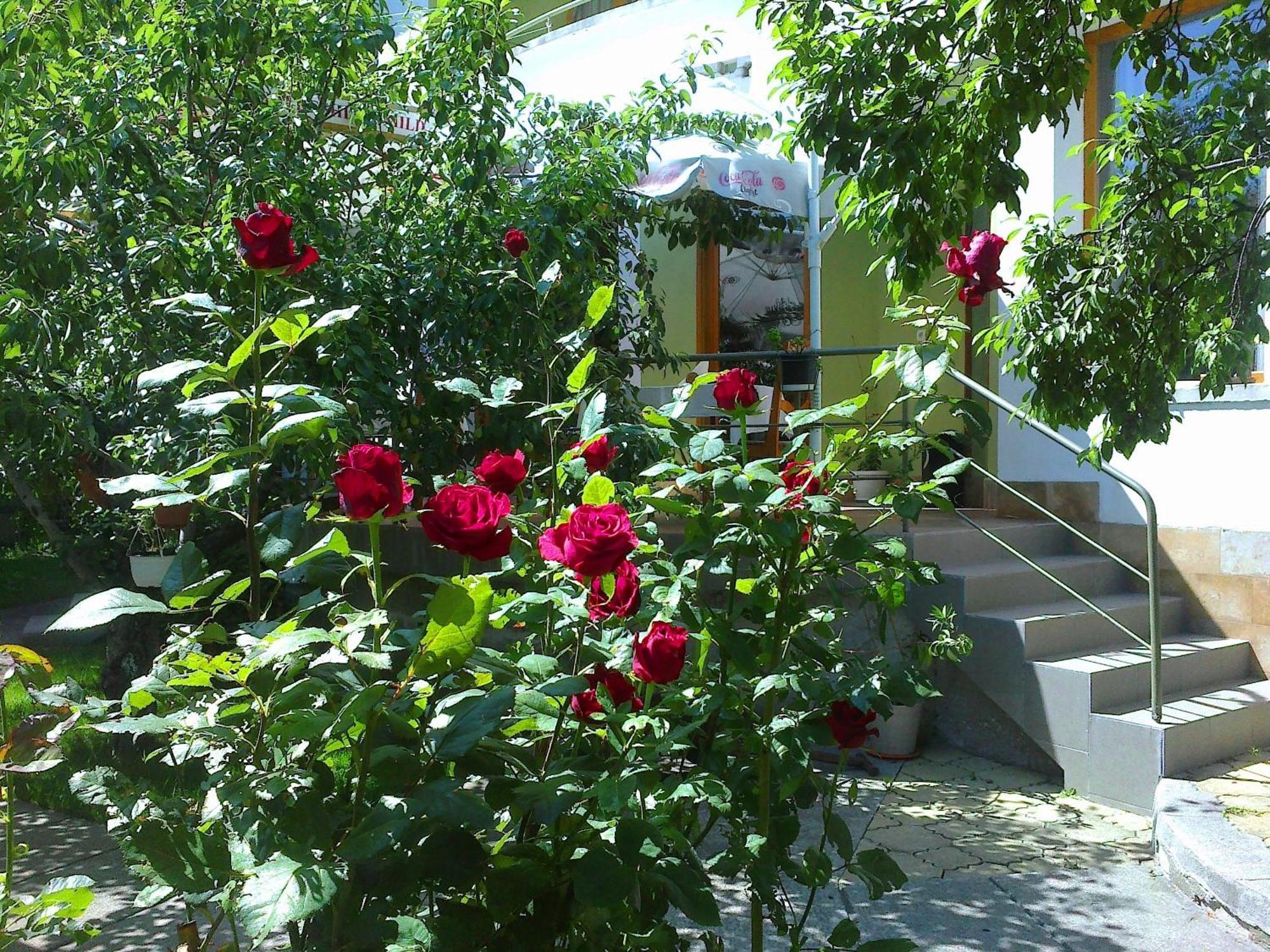 Family Hotel Sonata Самоков Экстерьер фото